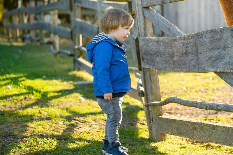 V ZOO Ljubljana imajo nove mladičke (poglejte, kako so prikupni) (foto: Profimedia)