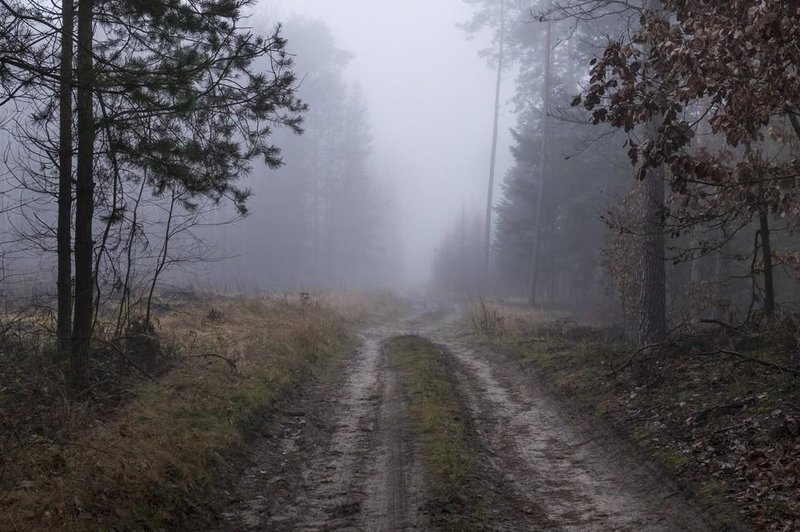 Fotografija je simbolična. (foto: Profimedia)