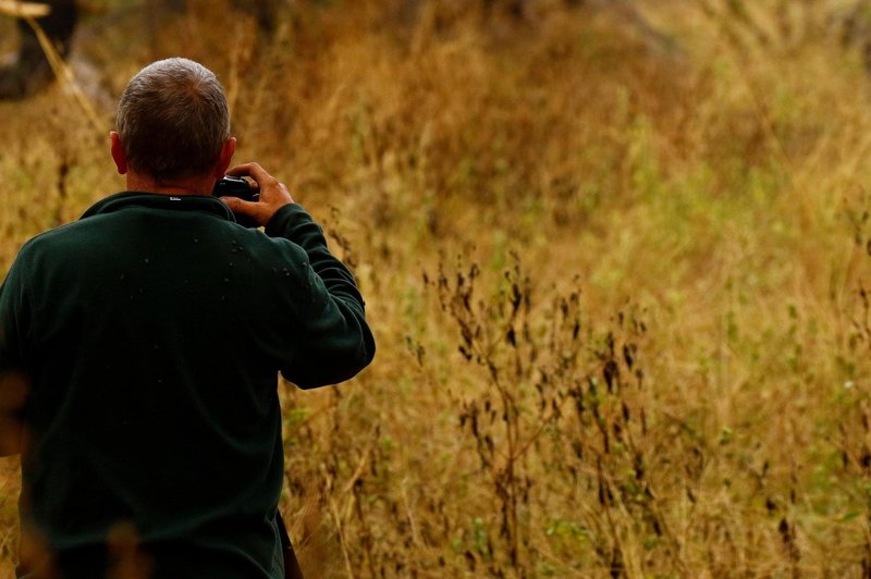 Po petih mesecih in nešteto kilometrih je fotografu uspelo ujeti 'posnetek za milijon dolarjev' (foto: Profimedia)