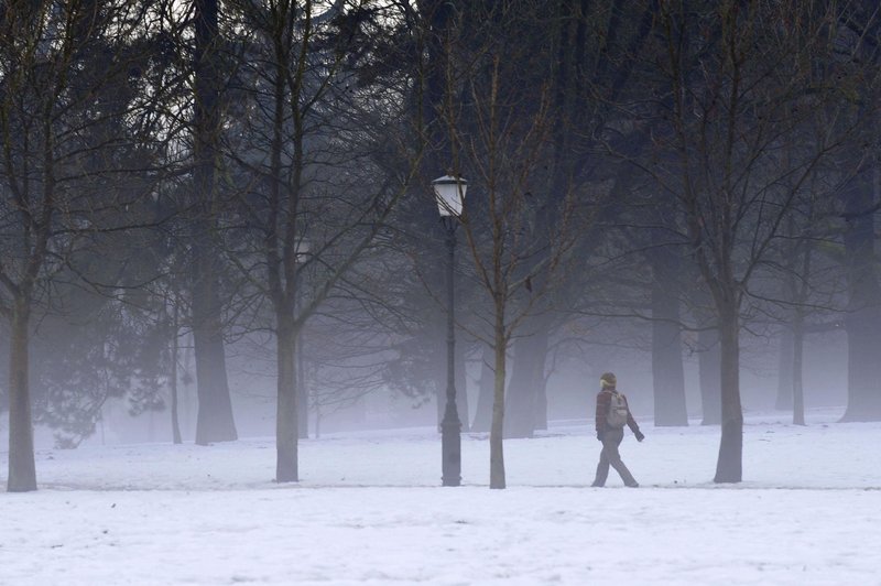 Nepričakovana najdba v parku Tivoli: strokovnjaki po več desetletjih odkrili zanimivo žival (FOTO) (foto: Bobo)