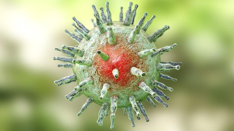 Epstein-Barr virus multipla skleroza