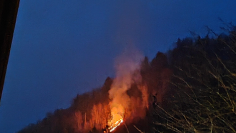 FOTO: V gozdu nad Jesenicami izbruhnil požar (na pomoč je priletel helikopter)