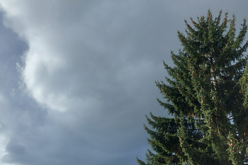 Začetek zimskih počitnic bo v znamenju pomladnih temperatur (foto: Uredništvo)