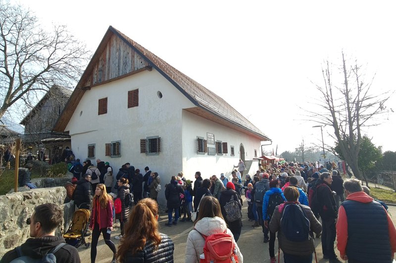 Smo Slovenci uspeli uresničiti sanje, ki jih je zapisal pesnik? V Vrbi odmeval verz Žive naj vsi narodi (foto: Bobo/Valter Leban)