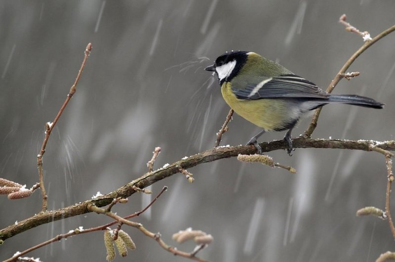 Pred nami deževni in turobni dnevi. Kdaj bo konec kislega vremena? (foto: Profimedia)