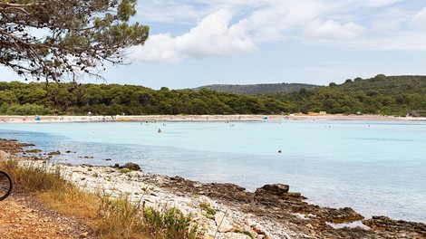 živali Dugi otok želve Sakarun plaža