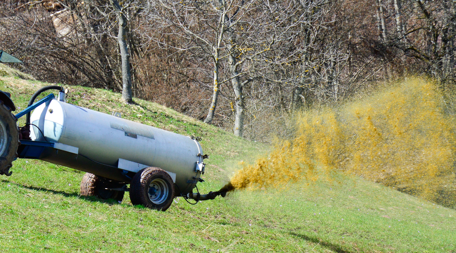 Pri Postojni v okolje iztekla večja količina gnojnice: ponekod je pomrlo vodno življenje, je ogrožena pitna voda? (foto: Srdjan Živulovič/Bobo)