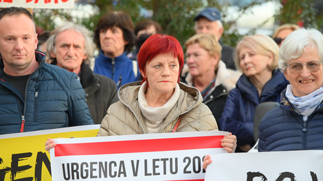 Kamnik protest