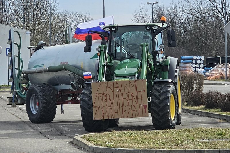 Fotografija prejšnjih protestov. (foto: Bobo)