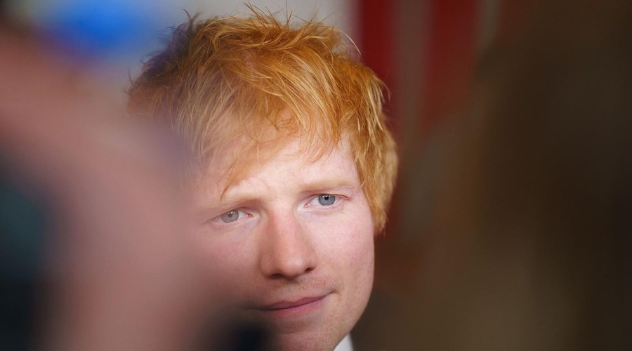 Čudaško dejanje superzvezdnika: Ed Sheeran na vrtu izkopal grob (pojasnil tudi, zakaj) (foto: Profimedia)