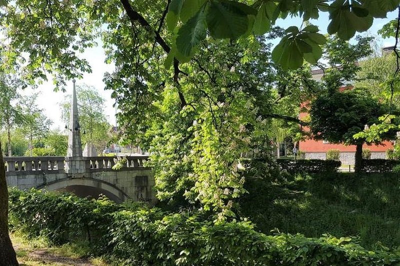 Sprehod po zeleni oazi sredi Ljubljane: tu se čas ustavi, turisti pa je na srečo še niso odkrili (foto: Ma.Po.)