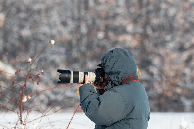 Presrečni fotograf ujel fotografijo svojega življenja: ste že videli bolj ljubko bitje? (foto: Profimedia)