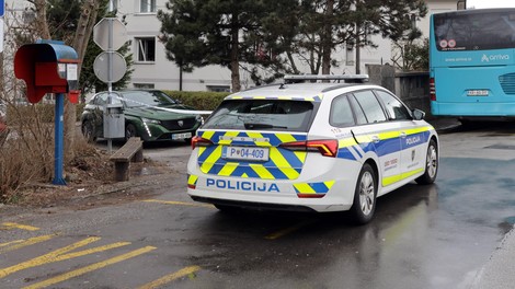 policija policijski avto