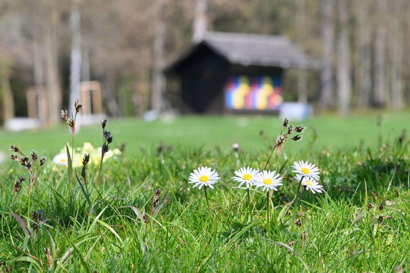 Pomembna panoga, s katero se splača ukvarjati: na razpisih so še vedno na voljo sredstva (foto: Bobo)