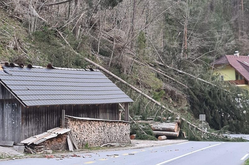 Zgornja Savinjska dolina zopet na udaru: veter podiral drevesa, več ur zaprta cesta med Ljubnim ob Savinji in Lučami (foto: Facebook/Jure Funtek)