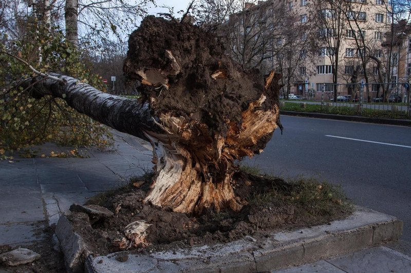 Fotografija je simbolična. (foto: Profimedia)