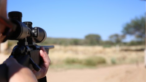 živali lovski turizem Afrika trofeje Botsvana