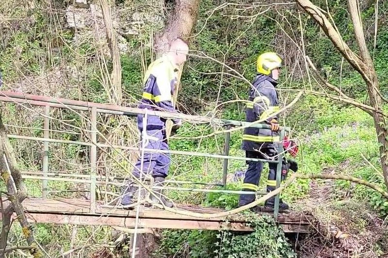 Nenavadna intervencija hrastniških gasilcev (foto: PGD Hrastnik)