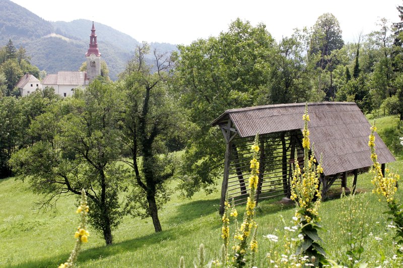 V Sloveniji jih je v izobilju, a njihova kulturna vrednost je velikokrat spregledala (foto: Tina Kosec/Bobo)