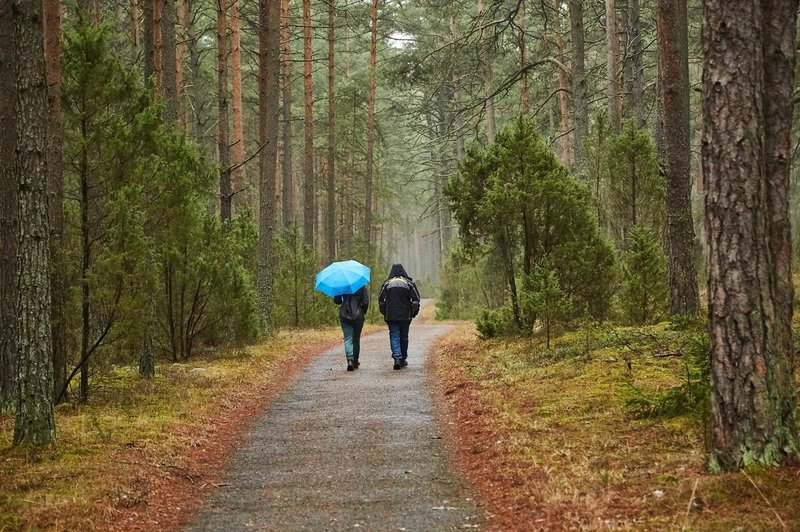 Pripravite se, prihaja občutna ohladitev (na vidiku tudi padavine) (foto: Profimedia)