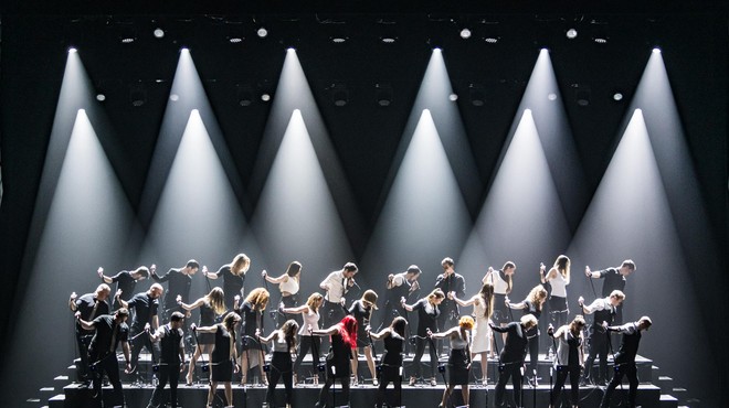 Sklepno dejanje letošnjega Radljevanja: ekskluzivni koncert vokalne atrakcije Perpetuum Jazzile (foto: Simone di luca)