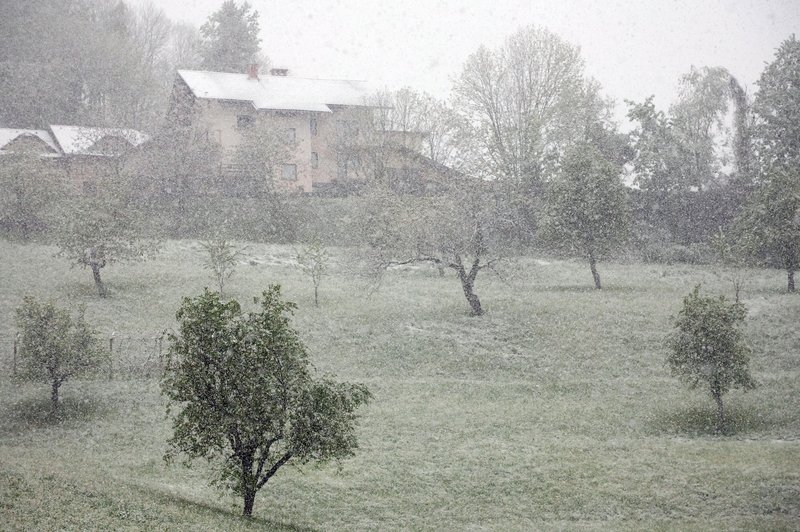 Medvode (foto: Borut Živulović/Bobo)