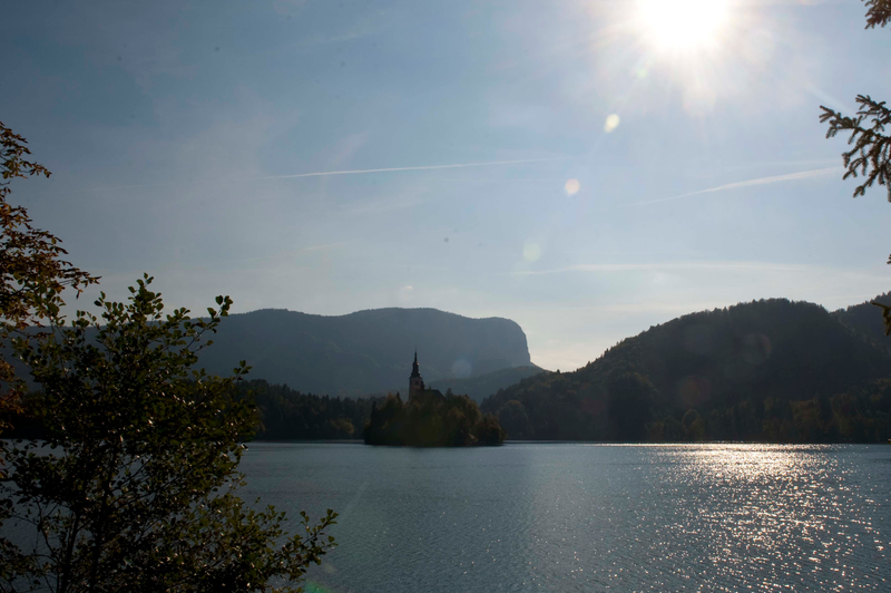 Potapljač v Blejskem jezeru naletel na presenetljivo odkritje (foto: Srdjan Živulovič/Bobo)