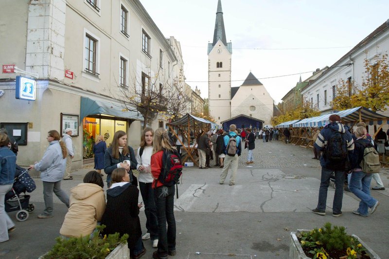 Občani so oddali svoj glas za najboljšega župana mestne občine (kdo je dobil laskavi naslov?) (foto: Srdjan Zivulovic/Bobo)