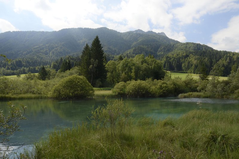 Kaj je skrivnost velikega temnega madeža na Savi Dolinki? Občani so v skrbeh, strokovnjaki pa pravijo ... (foto: Bobo)