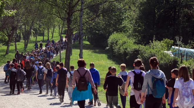 Pripravite se, v naslednjih dneh bo v Ljubljani oviran promet! (foto: Bobo)