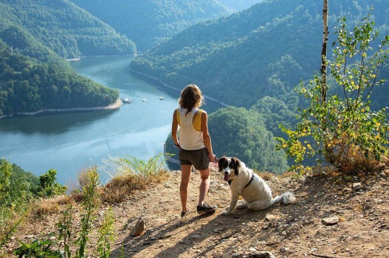 Se odpravljate s psom v hribe? Slovenski strokovnjaki odgovarjajo na 5 najpomembnejših vprašanj! (foto: Profimedia)