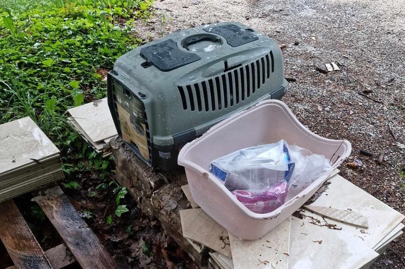 V Zavetišču Horjul jasni: "Vse komentarje v podporo takšnemu dejanju bomo brisali" (foto: Zavetišče Horjul / Facebook)