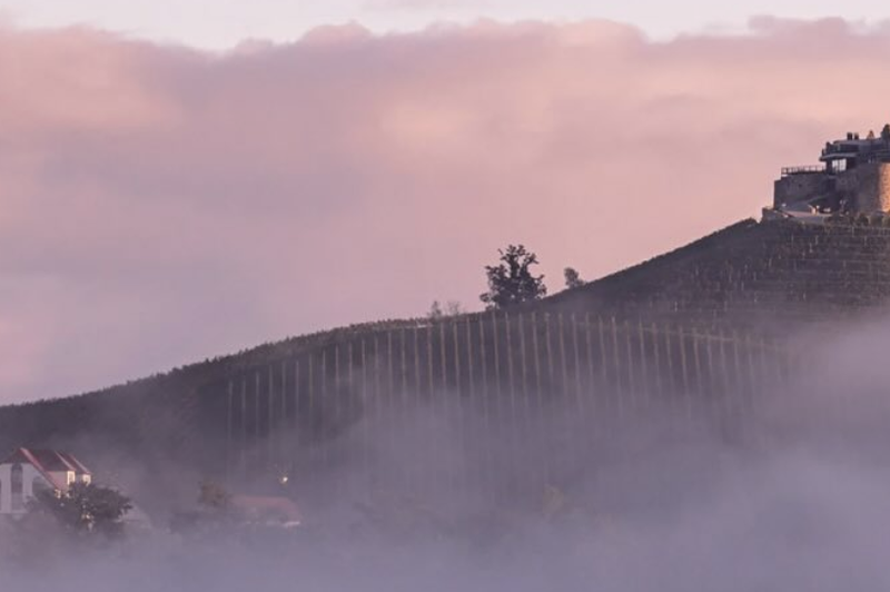 Znana slovenska gostinska družina se širi v Avstrijo, nova lokacija je sanjska (foto: Instagram/jezersekcatering/posnetek zaslona)