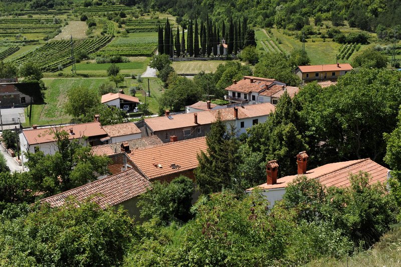 Raziskovanje prelepega Krasa: spoznajte dinozavre, ki so bili odkriti pred štiridesetimi leti (foto: Bobo)