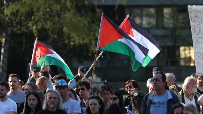 SDS umaknil predlog za razpis posvetovalnega referenduma o priznanju Palestine (foto: Bobo)