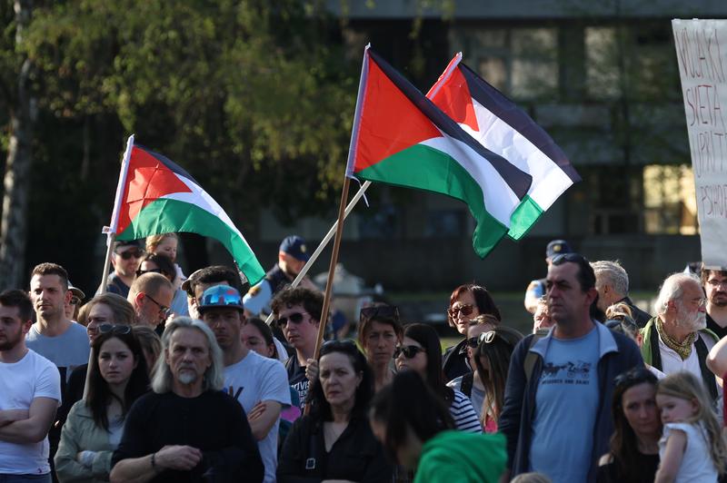 Bo odloženo odločanje o priznanju Palestine? SDS bo predlagala posvetovalni referendum (foto: Bobo)