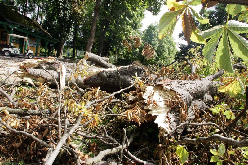 Neurje zopet pokazalo zobe: poplave, podrta drevesa in ponekod tudi toča (foto: Tina Kosec/Bobo)