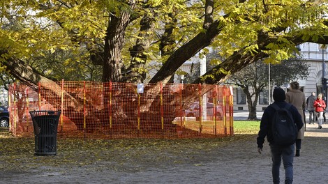 Miklošičev park