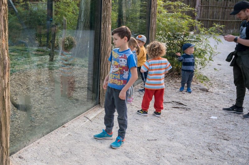 Nov mladiček v ZOO Ljubljana (če to ni nekaj najbolj prikupnega!) (foto: Profimedia)