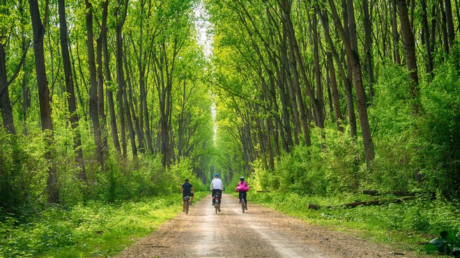 Kolesarjenje po Srbiji: 5 destinacij za popolno kolesarsko izkušnjo (foto: Aleksandar Milutinović)