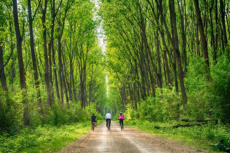 Kolesarjenje po Srbiji: 5 destinacij za popolno kolesarsko izkušnjo (foto: Aleksandar Milutinović)