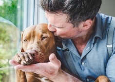 Z veterinarko o zavarovanju psov (vse, kar morate vedeti)
