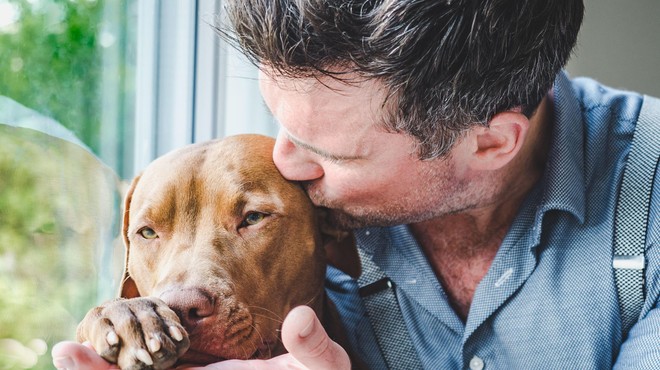 Z veterinarko o zavarovanju psov (vse, kar morate vedeti) (foto: Profimedia)