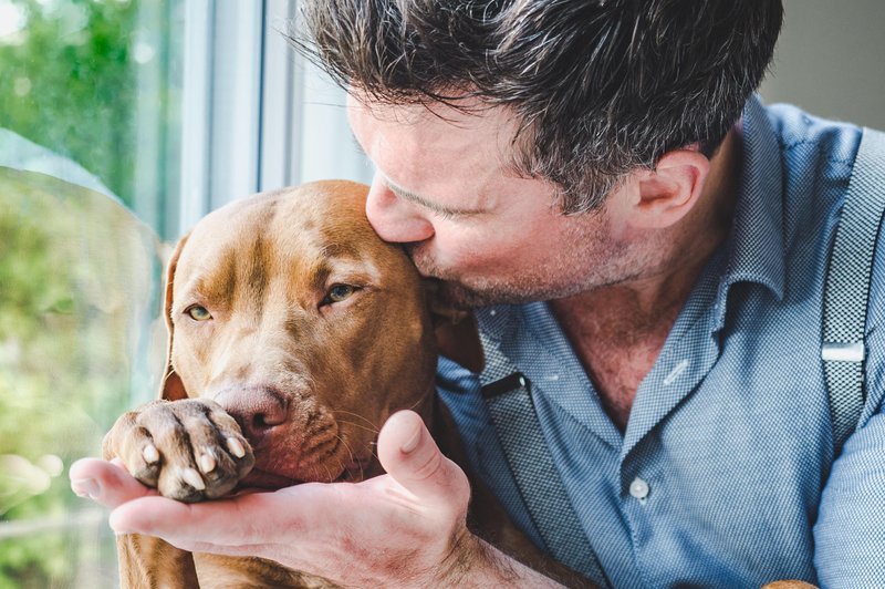 Z veterinarko o zavarovanju psov (vse, kar morate vedeti) (foto: Profimedia)