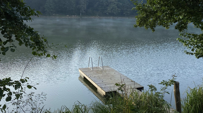 Raj na Zemlji: obisk tega zelenega kotička je lahko ideja za vaš naslednji vikend izlet (foto: TikTok/avocadodoc)