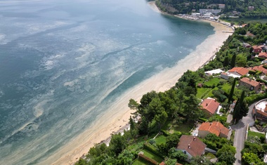 Neverjetno ogabni prizori slovenskega morja: bi si sploh upali zaplavati? (FOTO)