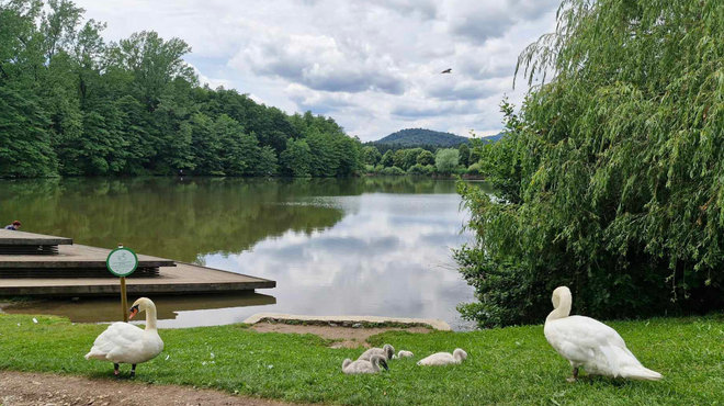 Je vročinski val že za nami? Pričakujemo lahko spremenljivo oblačnost in ... (foto: Uredništvo)