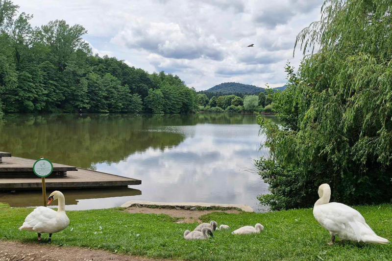 Je vročinski val že za nami? Pričakujemo lahko spremenljivo oblačnost in ... (foto: Uredništvo)