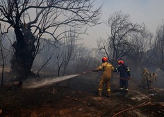 Na jahti prižgali ognjemet in zanetili gozdni požar