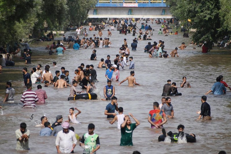 Temperature dosegle tudi 49 stopinj Celzija, več tisoč ljudi utrpelo vročinski udar (foto: Profimedia)